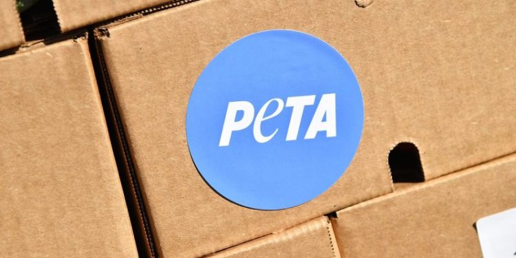 DAN GAINOR: The 5 craziest stories of October — from Karine Jean-Pierre to PETA plaques