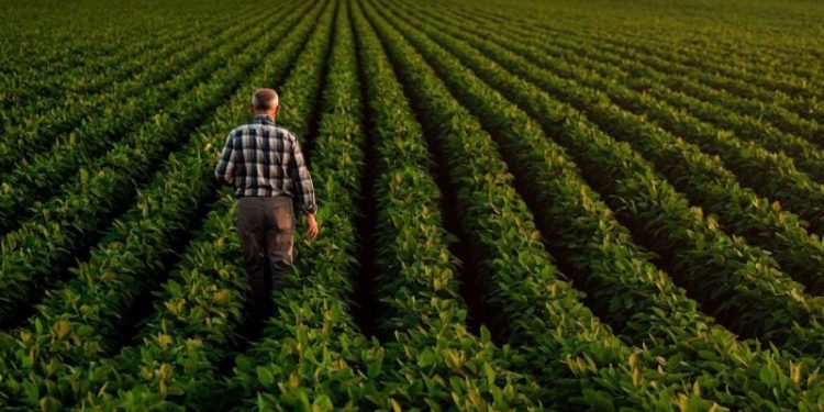 Agriculture Market Update: Q3 2025 in Review