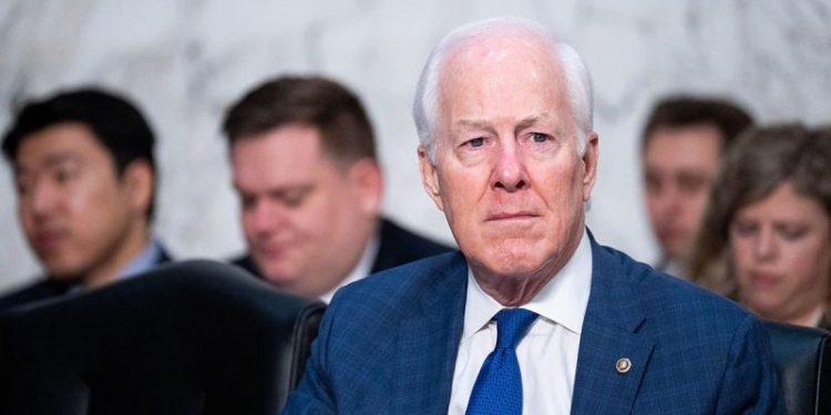 GOP senator’s Stop Fraud by SOMALIA Act would force Minnesota fraudsters to repay stolen taxpayer funds