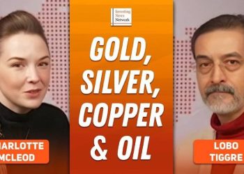 Lobo Tiggre: Gold, Silver Hit Record Highs, Next “Buy Low” Sector